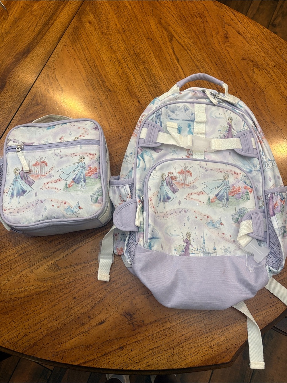 Pottery Barn Kids Lavender Elsa and Anna Backpack and Lunch Bag Set